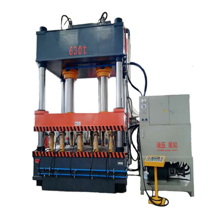 DYYL-100 гидравликалық пресс машинасы 100 тонна шағын гидравликалық прес